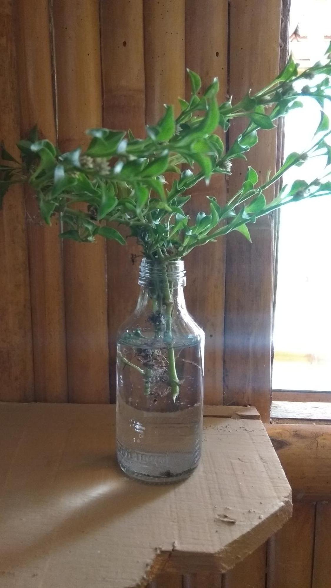Kalak Harry'S Ocean House Watukarung Homestay חדר תמונה